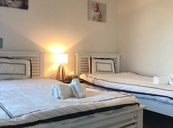 Luxury Apt With 2Br Plus 2Bath